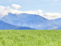 道教法事：噩梦连连怎么都醒不过来怎么回事,来看做噩梦是如何化解了