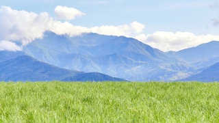 道教法事：噩梦连连怎么都醒不过来怎么回事,来看做噩梦是如何化解了