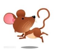 化太岁：犯太岁是什么意思 2020犯太岁的4大生肖是什么