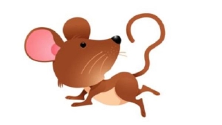 化太岁：犯太岁是什么意思 2020犯太岁的4大生肖是什么