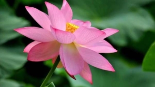 财库财运：财库自己开了／开财库的时间