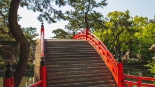 超度法事：佛教渡亡亡灵全文,用这经典去渡亡