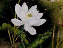 婴灵超度：大师教你超度婴灵回向方法