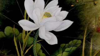 婴灵超度：大师教你超度婴灵回向方法