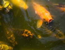 财库财运：人的财运为什么差 这两个方面的原因是关键