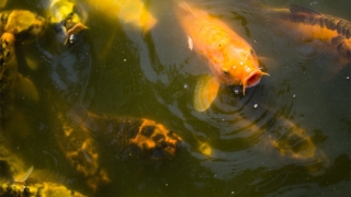 财库财运：人的财运为什么差 这两个方面的原因是关键