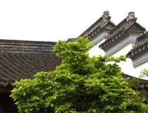 道教法事：道观请符佩戴需要知道的事情，不知道的赶紧来