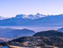 财库财运：哪些人命带财库？八字财库详解