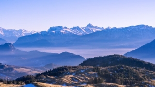 财库财运：哪些人命带财库？八字财库详解