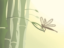 道教法事：道教的宗旨是什么 你了解多少