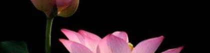 婴灵超度：我堕胎后惨痛的报应，一定不要犯下这种错误