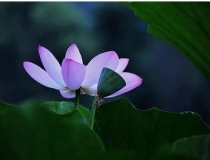 还受生债：大师说 超度冤亲债主影响感情生活