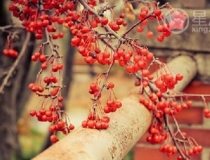 化太岁：犯太岁会带来什么危害？