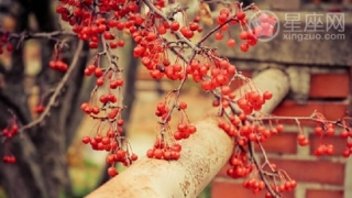 化太岁：犯太岁会带来什么危害？