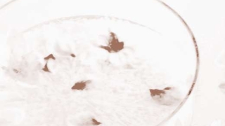 斩烂桃花：斩去老公烂桃花的妙招