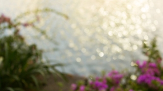 还受生债：看受生债查询是成功还受生债的关键在这