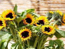 旺姻缘：脱单的咒语操作方法分享 帮你尽快脱单的方法