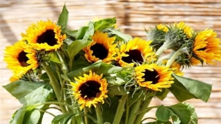 旺姻缘：脱单的咒语操作方法分享 帮你尽快脱单的方法