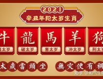 化太岁：从郑爽风波看地支冲刑破害犯太岁