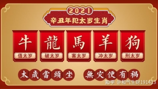 化太岁：从郑爽风波看地支冲刑破害犯太岁