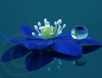 婴灵超度：超度婴灵法事有用吗最佳时间