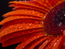 婴灵超度：婴灵超度需要多少钱？原来婴灵报复这么严重