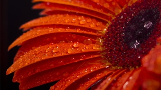 婴灵超度：婴灵超度需要多少钱？原来婴灵报复这么严重