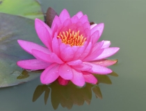 财库财运：如何破解财运低迷 和别人借运是一种方法