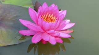 财库财运：如何破解财运低迷 和别人借运是一种方法