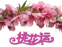 旺姻缘：怎么快速招桃花运,如何快速催桃花运