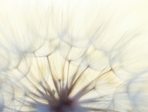 超度法事：人在死后怎样投胎，需要有人做超度才能进行轮