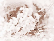 旺姻缘：求好姻缘的方法有哪些