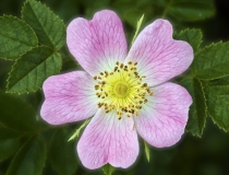 道教法事：道家大师教你几句驱鬼最快的咒语