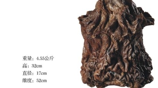 化太岁：什么犯太岁