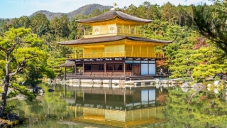 财库财运：家居招财风水方法有哪些,5大招财方法让家庭财气兴旺