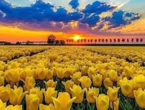 超度法事：超度已故亲人及冤亲债主，什么方法帮助他们最有利？（转载）