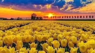 超度法事：超度已故亲人及冤亲债主，什么方法帮助他们最有利？（转载）