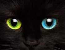 婴灵超度：为什么要超度婴灵被缠身后的表现