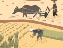 化太岁：什么叫犯太岁和冲太岁，有什么区别