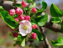 道教法事：噩梦连连是身体出现问题了吗,现在来看经常做噩梦怎么化解了