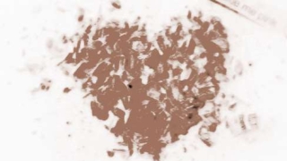 旺姻缘：养什么植物招桃花运