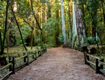 婴灵超度：被婴灵缠身的征兆,教你辨别身上有没有被婴灵缠身的方法