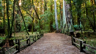 婴灵超度：被婴灵缠身的征兆,教你辨别身上有没有被婴灵缠身的方法