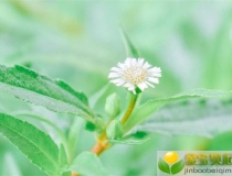 财库财运：有财库手相的人财运未必好