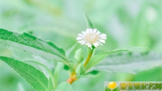 财库财运：有财库手相的人财运未必好