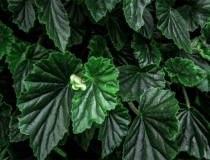 民俗文化：带你深入了解前世欠下的债是怎么回事