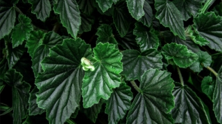 民俗文化：带你深入了解前世欠下的债是怎么回事