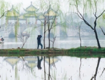 民俗文化：知识介绍：檀木的种类和辟邪效果