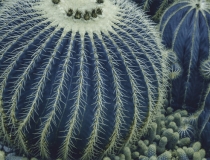 还受生债：阴债还完好处，还阴债的流程也是很重要