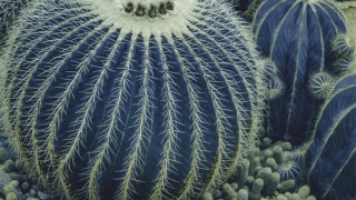 还受生债：阴债还完好处，还阴债的流程也是很重要